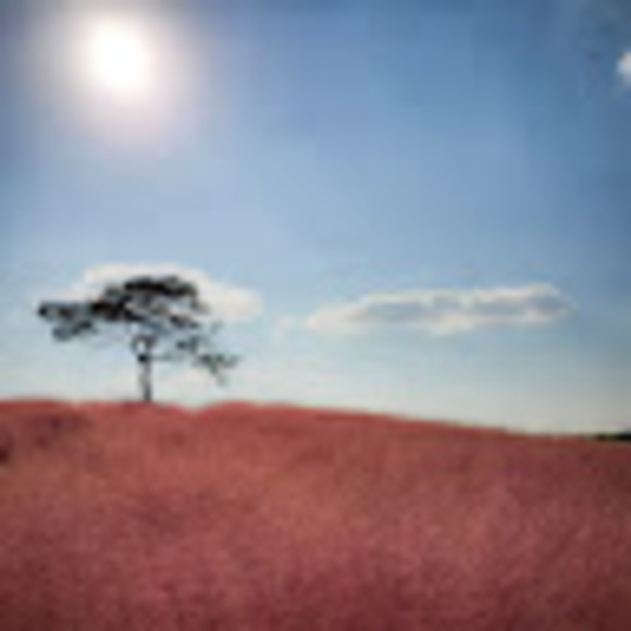 Meet your Posher, Stephanie - Picture 1 of 1